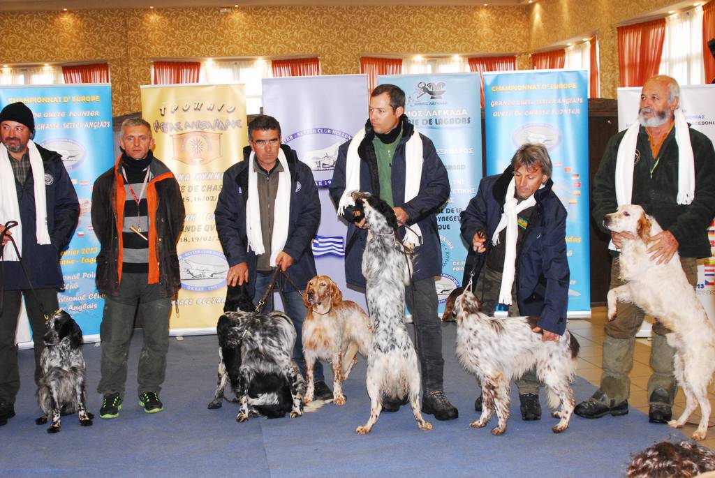 Fwtografies Category Eyrwpaika Prwta8lhmata Pointer Setter