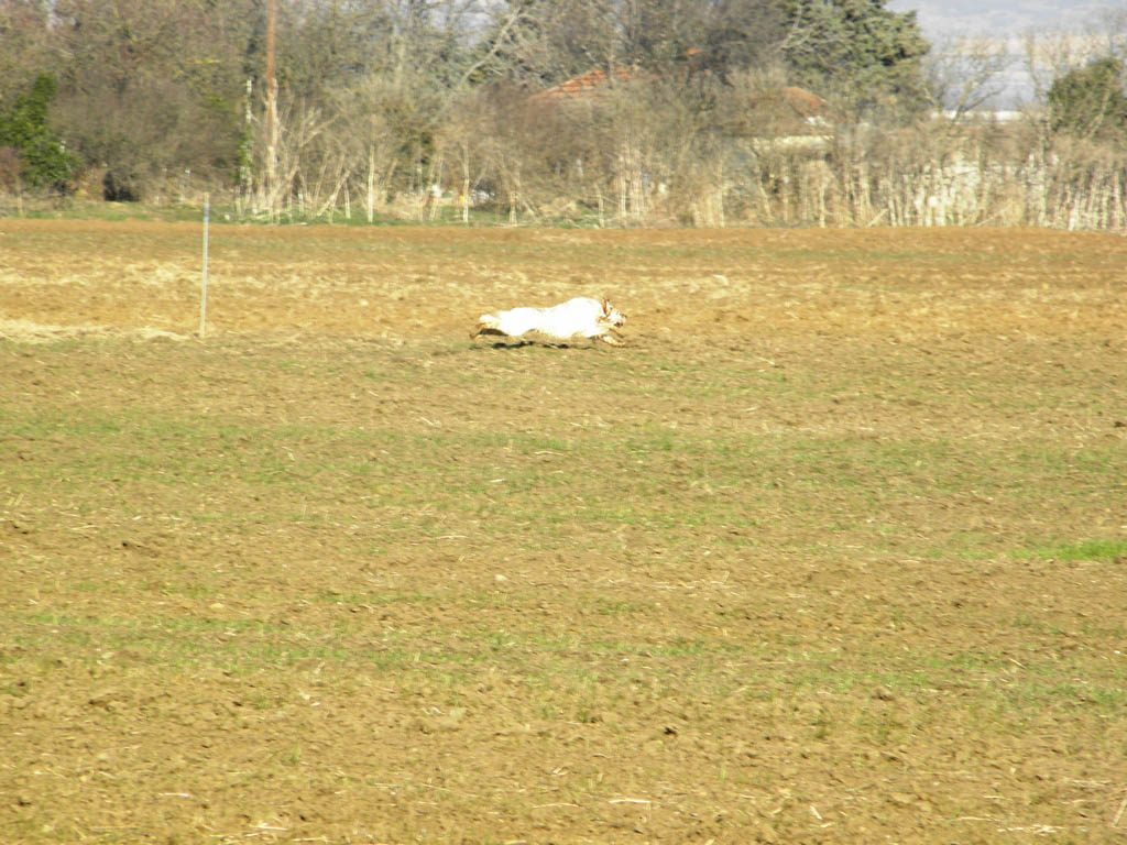 Fwtografies Category 1os Aki Lagkadas 13 14 15 1 2012